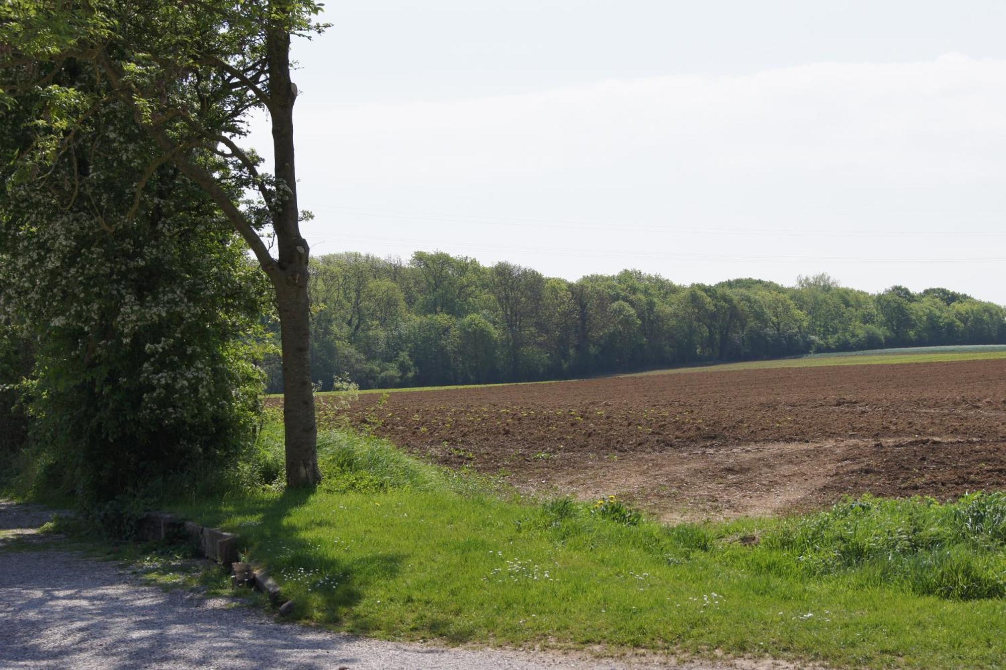 Logis La Ferme Du Vert Wierre-Effroy Zewnętrze zdjęcie